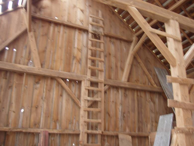 Camp Barn Interior / Sawn Pine Timbers